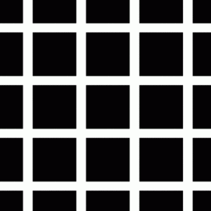 Hermann Grid Illusion Psychology