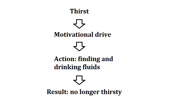 Drive theories of motivation in psychology