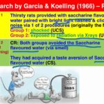 Garcia and Koelling Taste Aversion Experiments