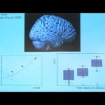 Perception and Deception in the Psychotic Brain